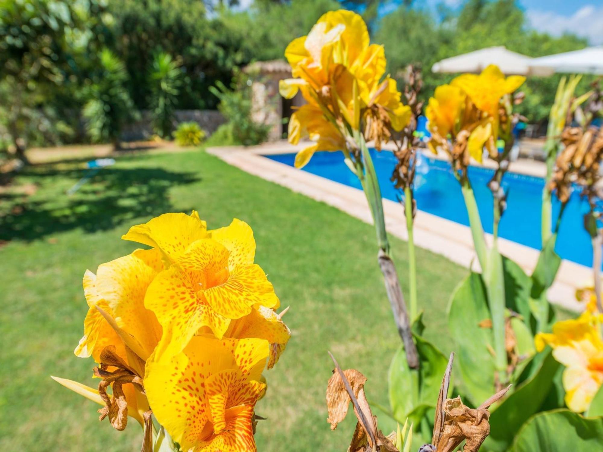 Casa Alba With Private Pool In